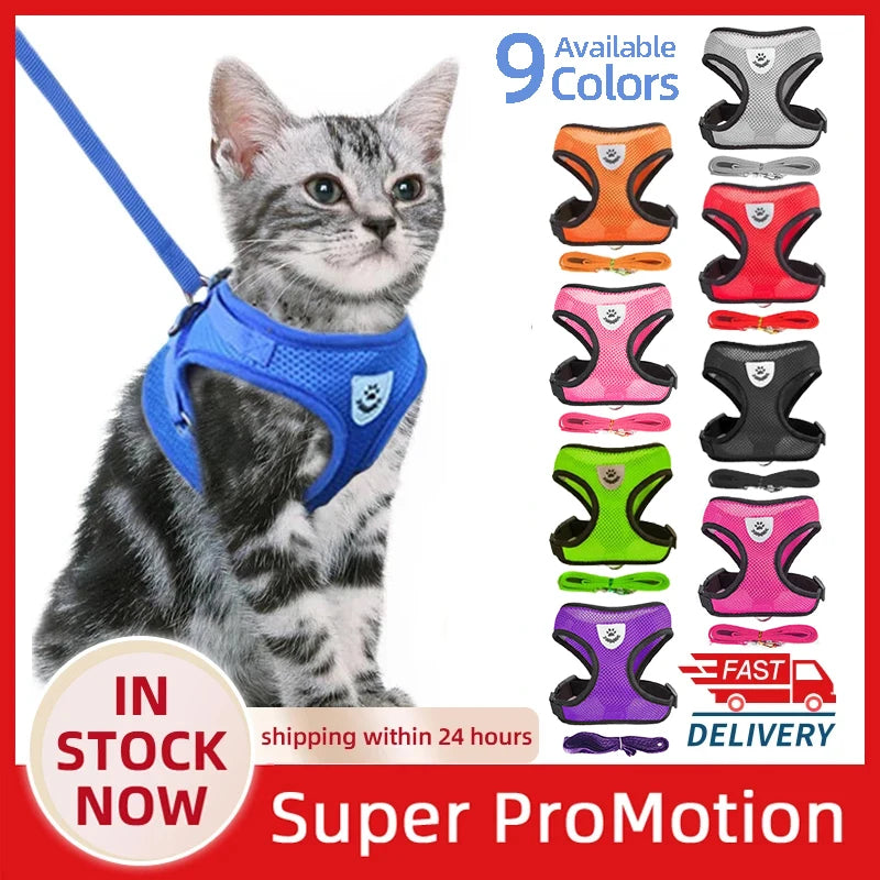 Harness Vest Walking Lead Leash