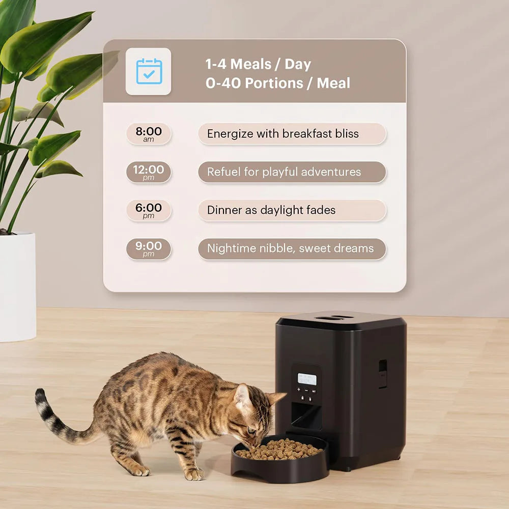 Kokodn cat Feeder Pro 2.0